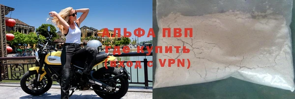 амф Верея