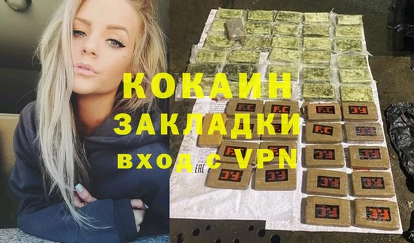 амф Верея