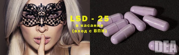 амф Верея
