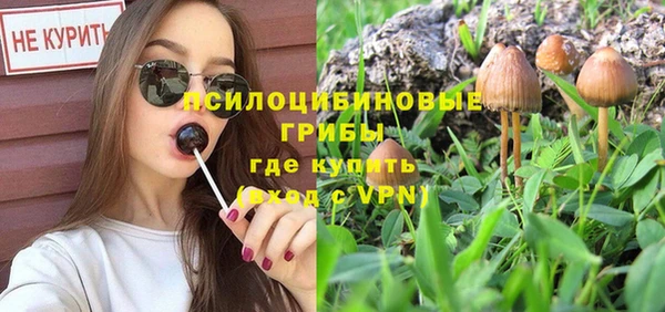 бошки Верхнеуральск