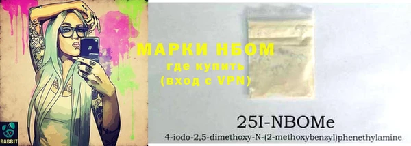 амф Верея