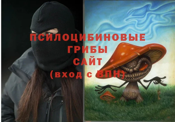 2c-b Пересвет